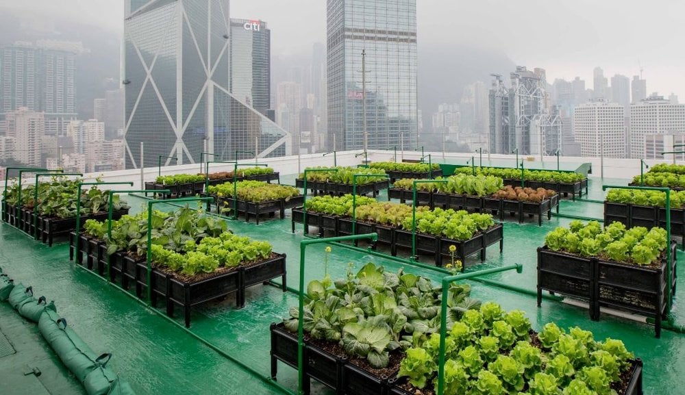 The Future, With Urban Farming — AGRITECTURE